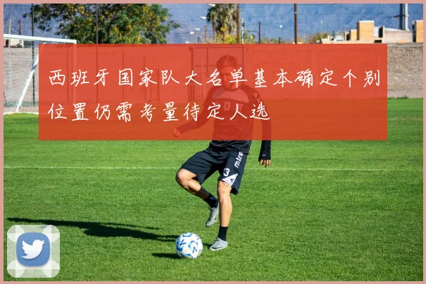 西班牙国家队大名单基本确定个别位置仍需考量待定人选